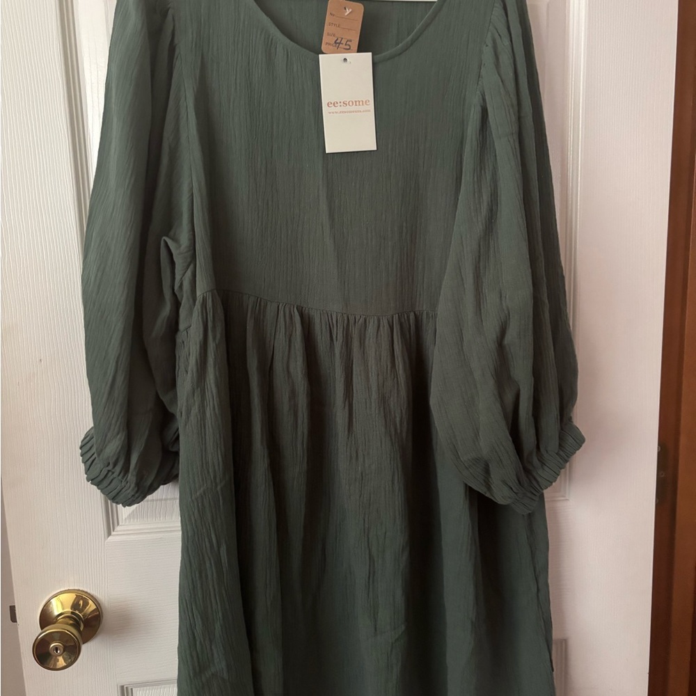 Eesome Sage Green Textured Dress